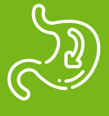 iconss for shunham 06